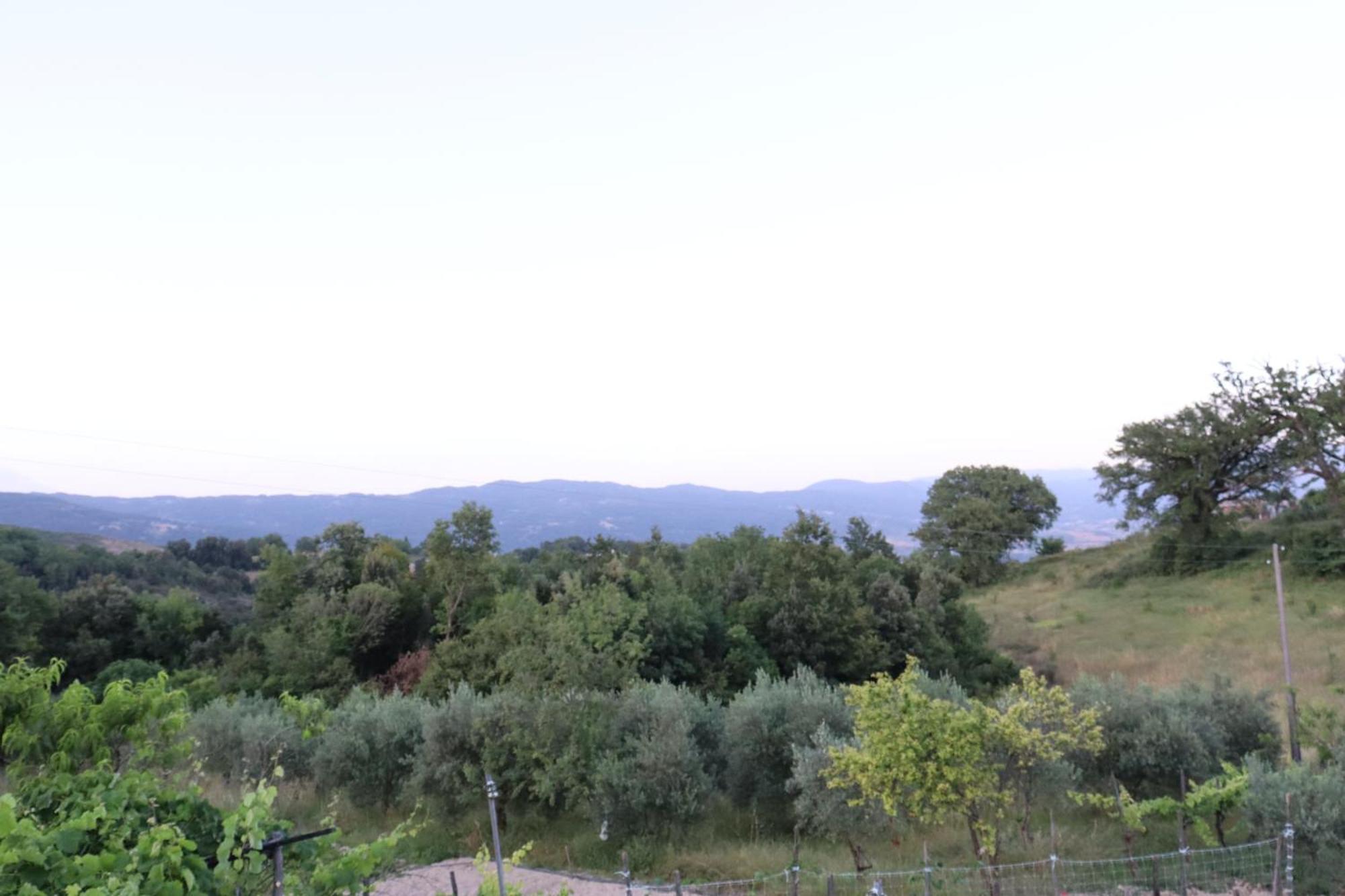 Ligustro Home Laino Borgo Εξωτερικό φωτογραφία